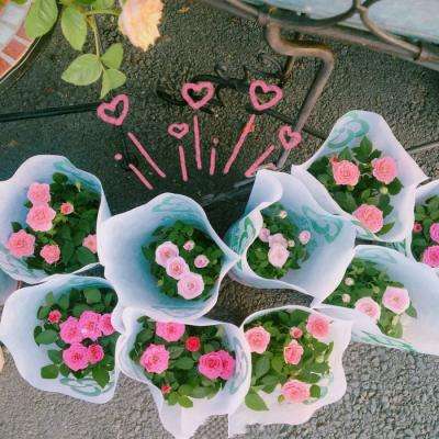 牛宝体育登录地址入口截图