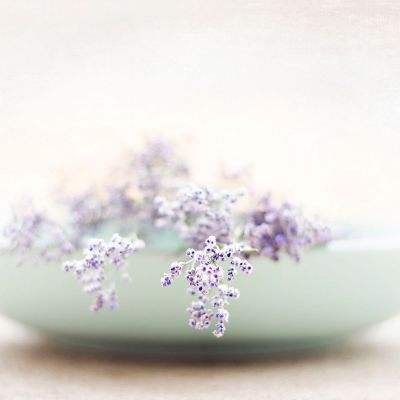 牛宝体育登录地址入口截图