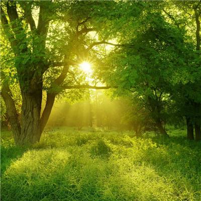 乐鱼手机app下载